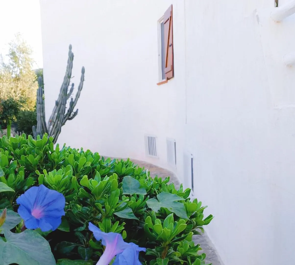 Villa Anna 300 M Dal Mare Torre delle Stelle 0*,  Italy